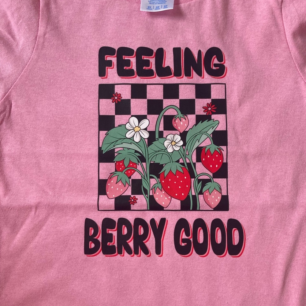 Pink cottage-core 3t t shirt strawberry checkered brand new